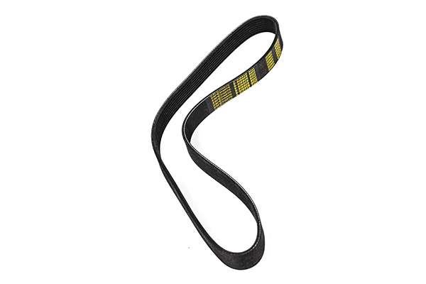 V-Ribbed Belt (Z23031)