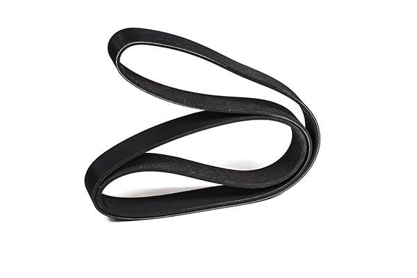 V-Ribbed Belt (Z22973)