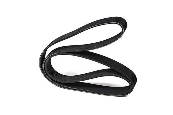 V-Ribbed Belt (Z23072)
