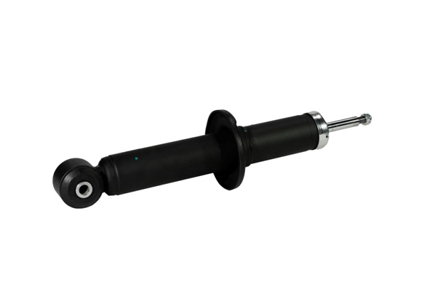 Shock Absorber (Z00352)