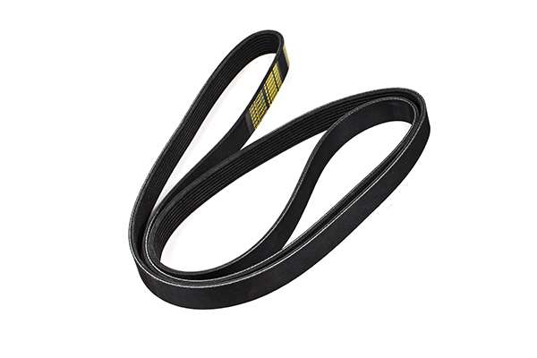 V-Ribbed Belt (Z23042)