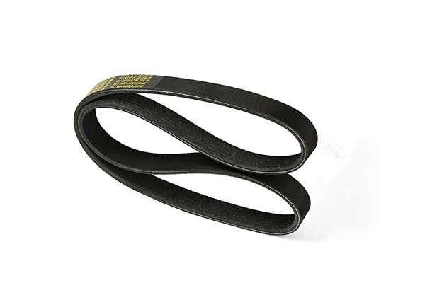 V-Ribbed Belt (Z22578)