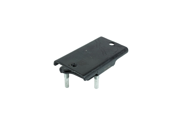 Mounting, engine (Z13497)
