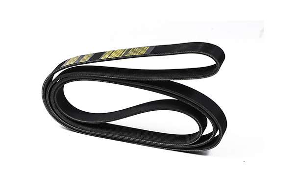 V-Ribbed Belt (Z23047)