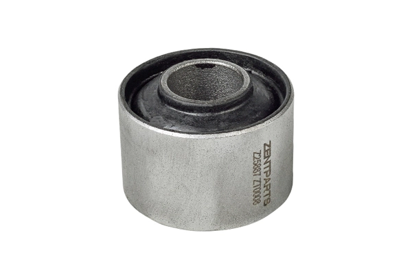 Mounting, control/trailing arm