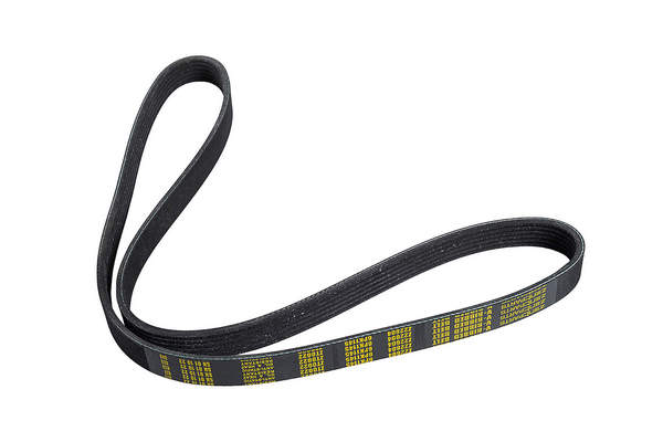 V-Ribbed Belt