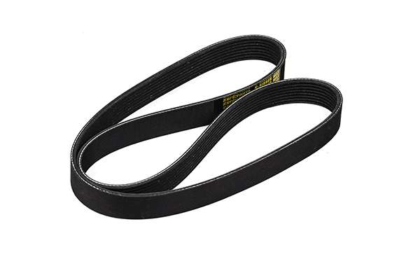 V-Ribbed Belt (Z23004)