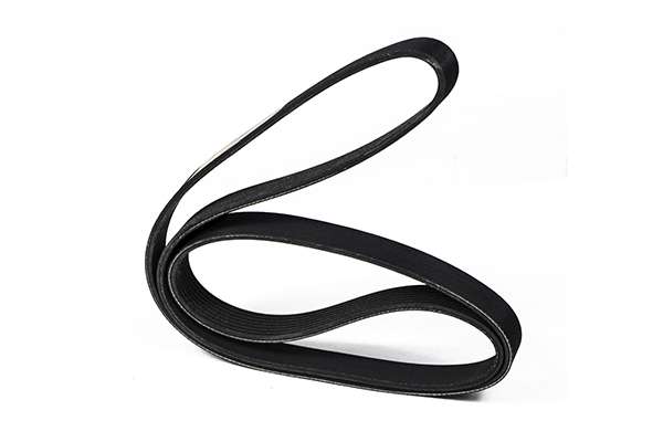 V-Ribbed Belt (Z23048)