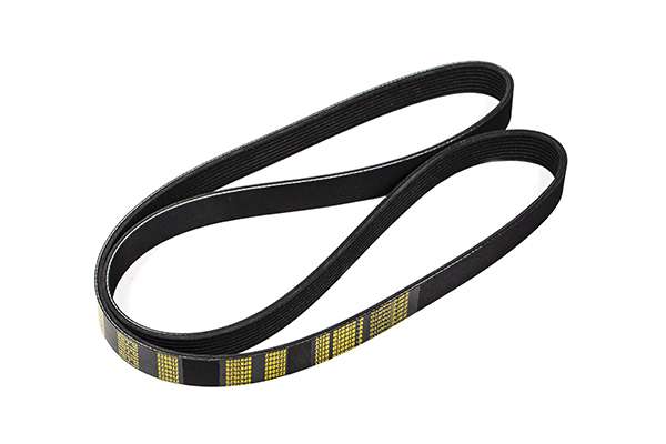 V-Ribbed Belt (Z23002)