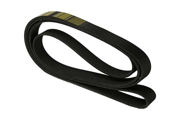 V-Ribbed Belt (Z22980)