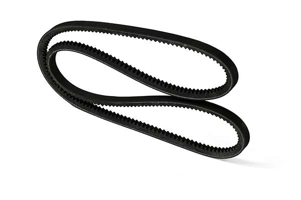 V-Belt (Z22967)
