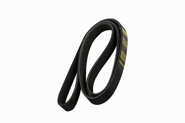 V-Ribbed Belt (Z22624)