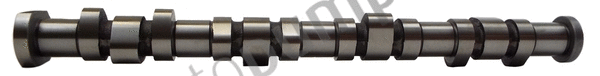Camshaft (AC2129)