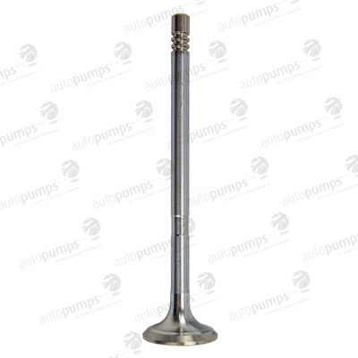 Exhaust Valve (AEV11050)