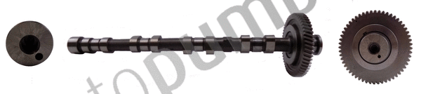 Camshaft (AC3331)