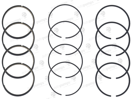 Piston Ring Kit