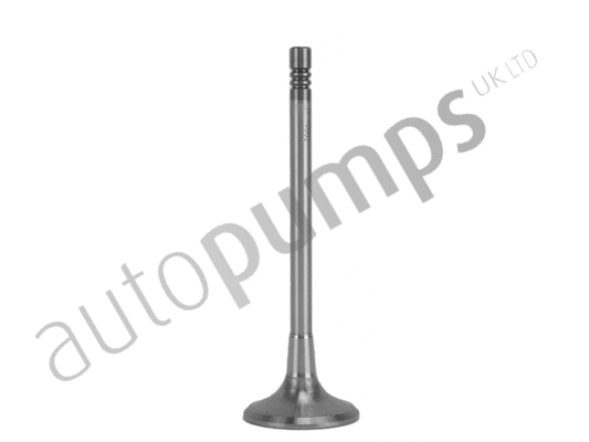 Intake Valve (AIV11001)
