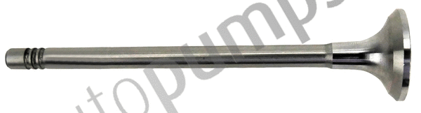 Intake Valve
