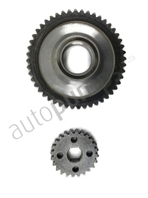 Chain, oil pump drive