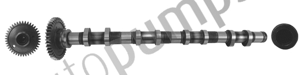 Camshaft