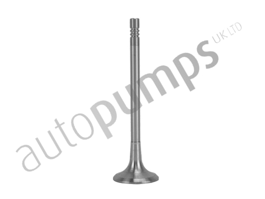 Exhaust Valve (AEV11000)