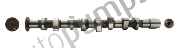 Camshaft (AC2183)