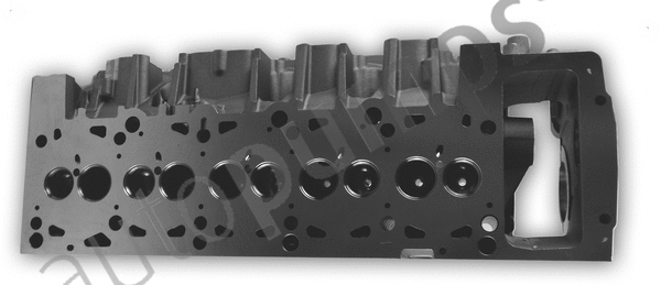 Cylinder Head (ACHW817)