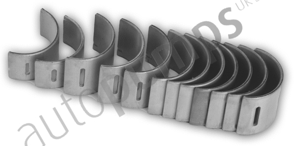 Camshaft Bearing