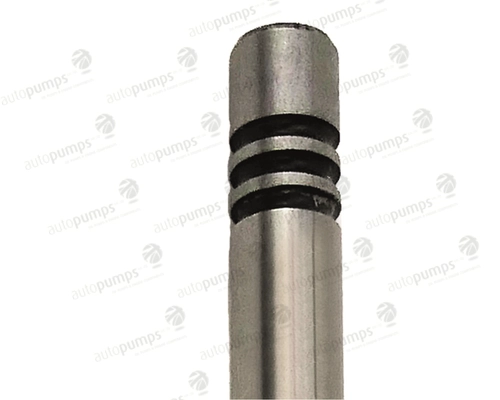 Intake Valve