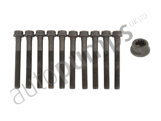 Cylinder Head Bolt Set (AHB5019SET)