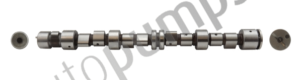 Camshaft (AC2056)