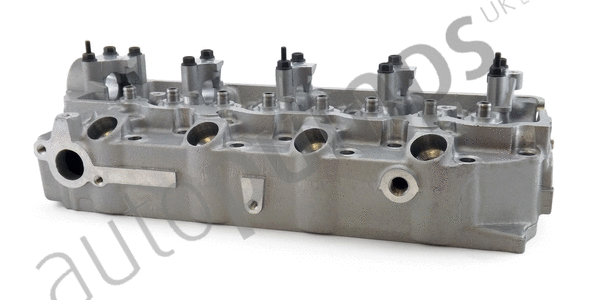 Cylinder Head (ACHU895)