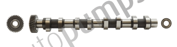 Camshaft (AC2171)