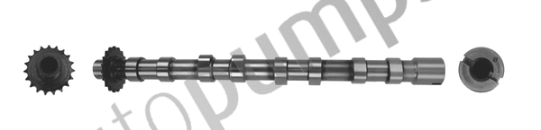 Camshaft (AC6999)