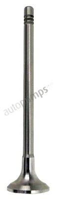 Intake Valve (AIV10031)