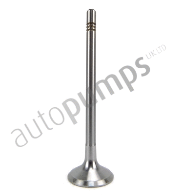Intake Valve (AIV11005)