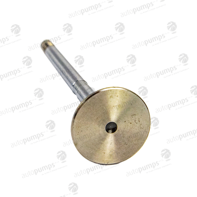 Exhaust Valve