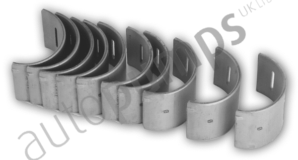 Camshaft Bearing