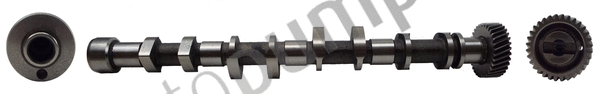 Camshaft (AC8198)