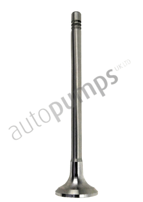 Exhaust Valve (AEV11012)