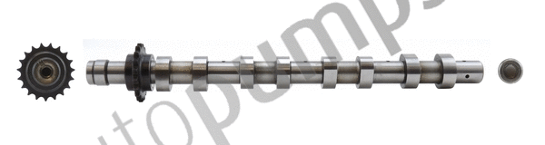 Camshaft (AC1959)