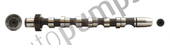 Camshaft (AC061)