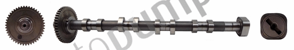 Camshaft (AC2131)