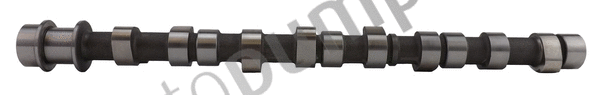 Camshaft (AC2227)