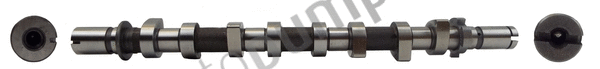 Camshaft