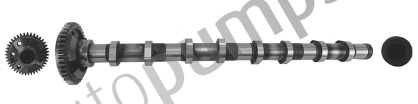 Camshaft