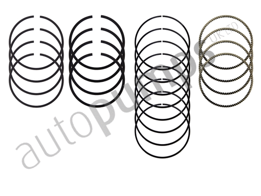 Piston Ring Kit
