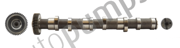 Camshaft (AC073)