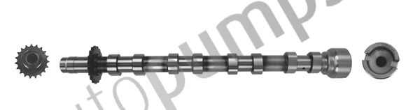 Camshaft (AC6998)