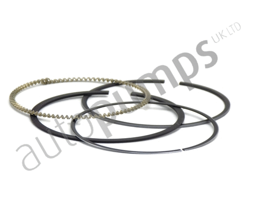 Piston Ring Kit (A5313)